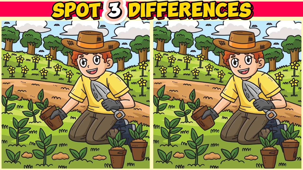 Mindsetter: Zoek de verschillen